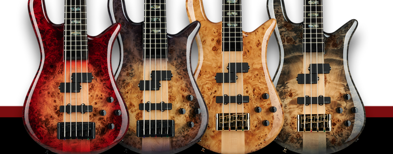 גיטרות בס מבית spector